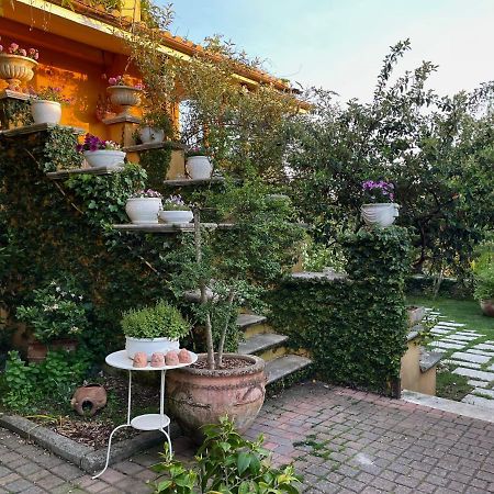 Home Sweet Home Gallicano nel Lazio Εξωτερικό φωτογραφία