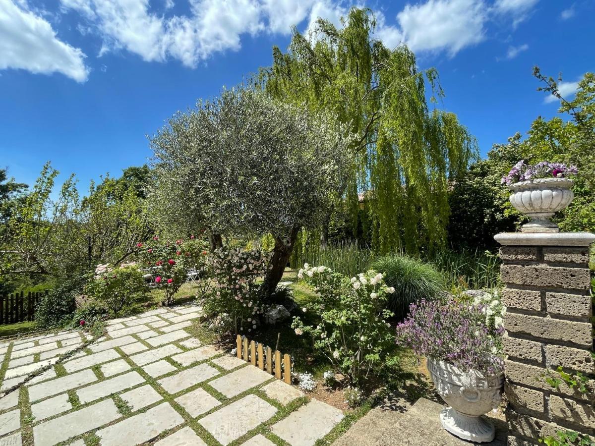 Home Sweet Home Gallicano nel Lazio Εξωτερικό φωτογραφία