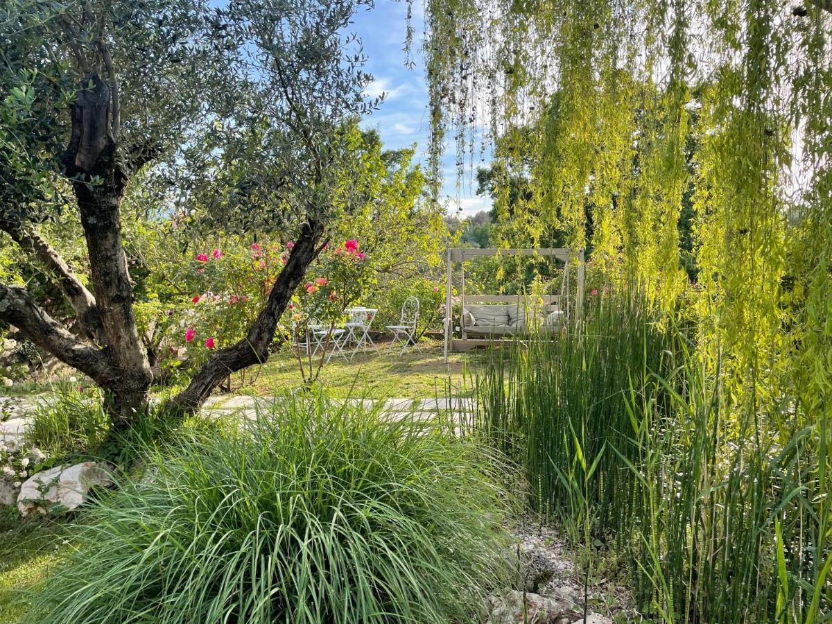 Home Sweet Home Gallicano nel Lazio Εξωτερικό φωτογραφία