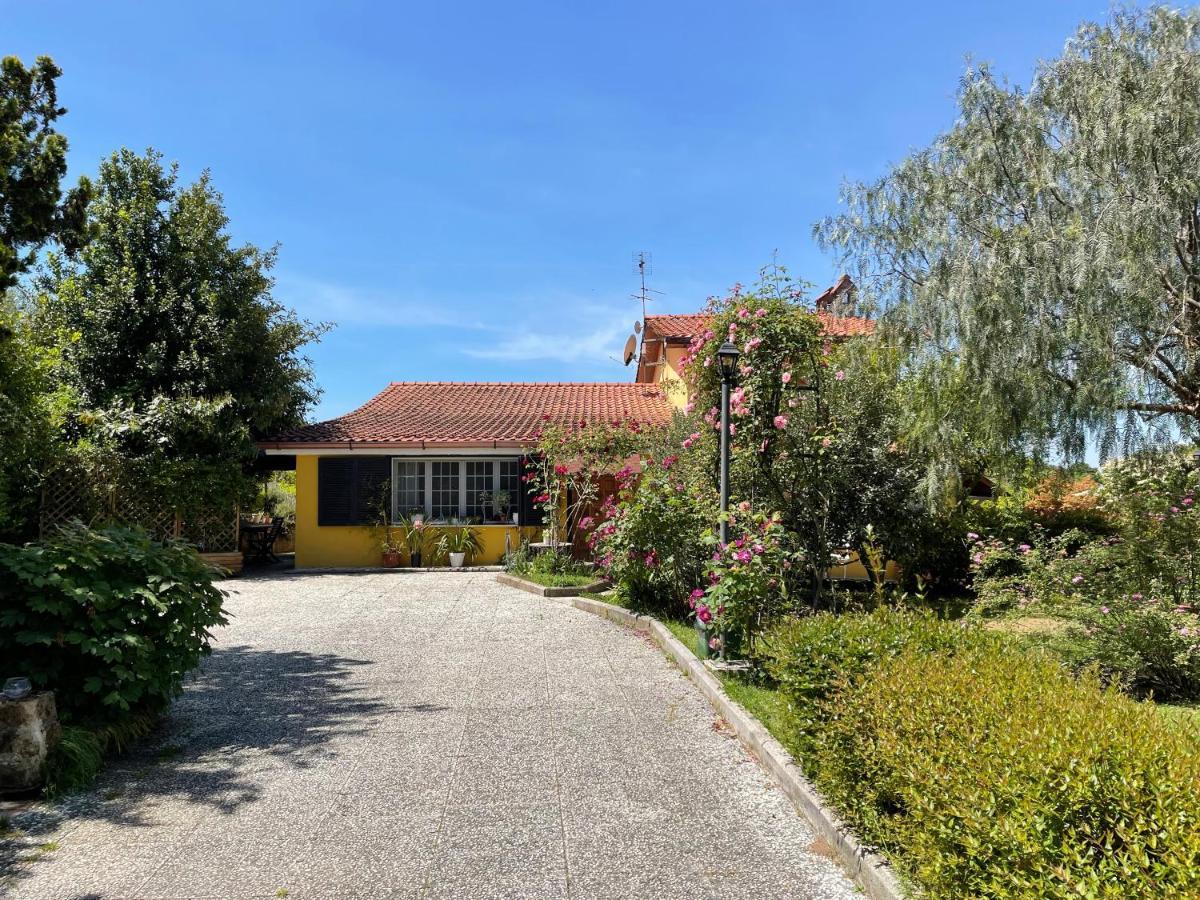 Home Sweet Home Gallicano nel Lazio Εξωτερικό φωτογραφία