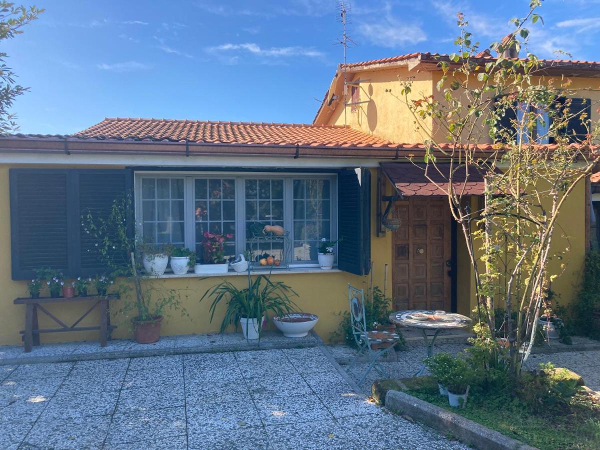Home Sweet Home Gallicano nel Lazio Εξωτερικό φωτογραφία