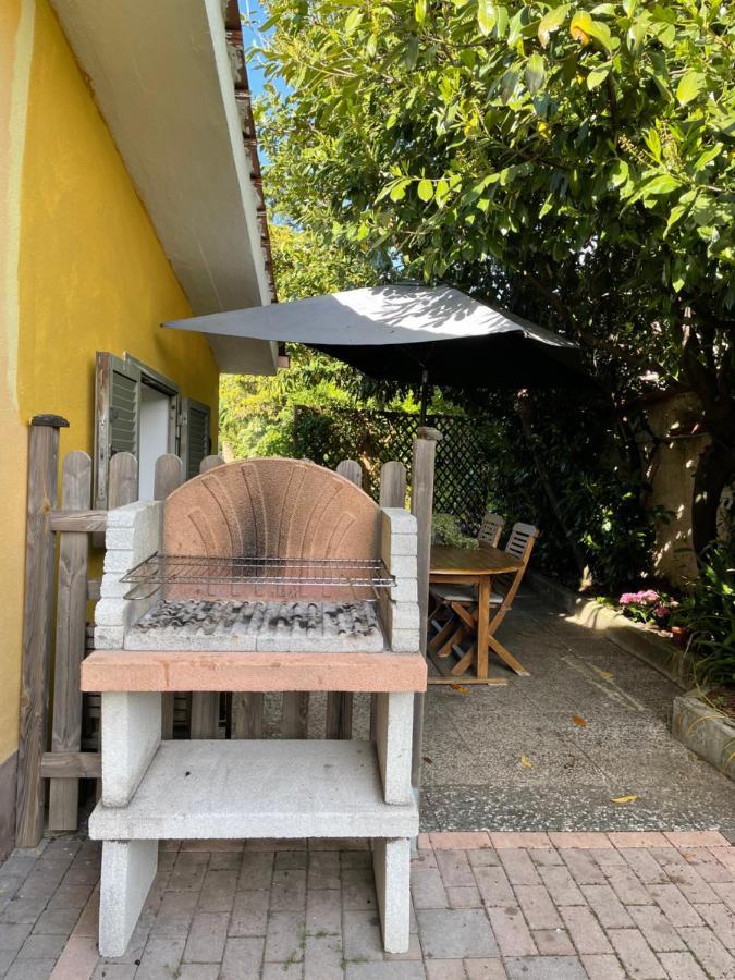 Home Sweet Home Gallicano nel Lazio Εξωτερικό φωτογραφία
